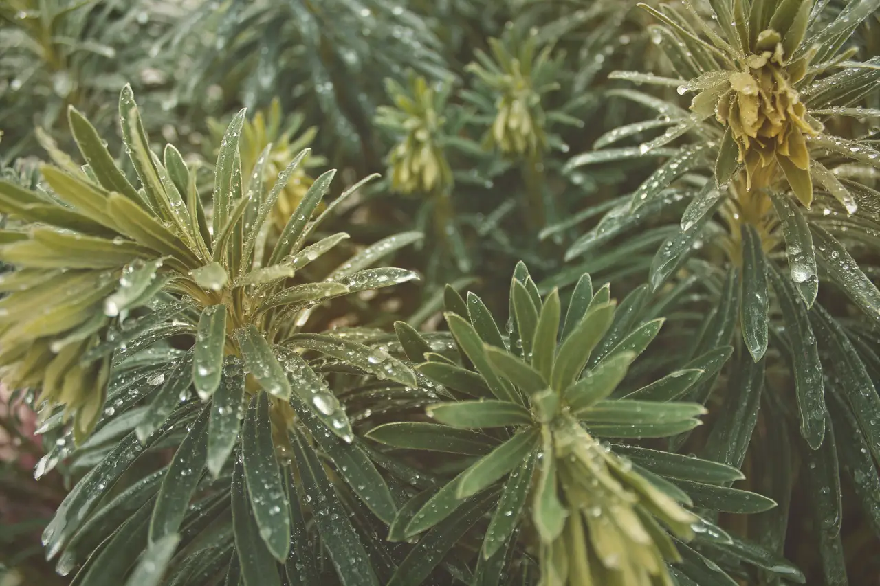 湖南中小企业税务筹划实务：鲲发管理解析汇算清缴常见风险点