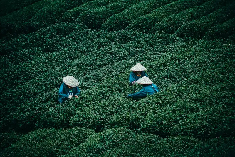 湖南中小企业汇算清缴常见难点与财税咨询应对策略