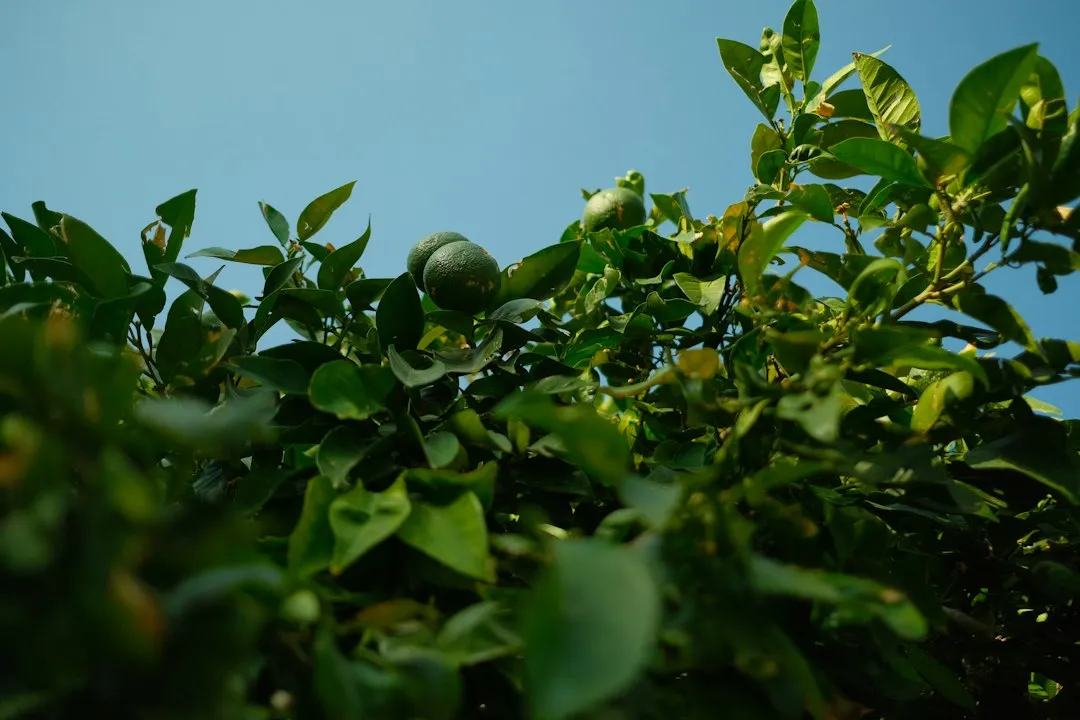 湖南中小企业财税咨询新趋势：鲲发管理解析合规降负路径正文配图 1